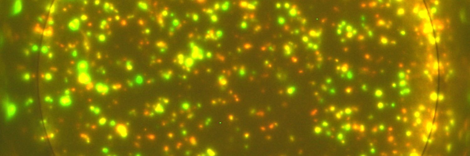 Cytokines