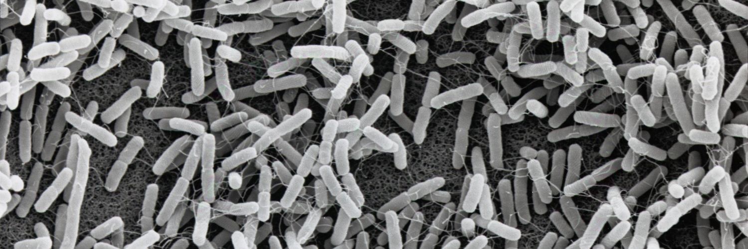 E.coli