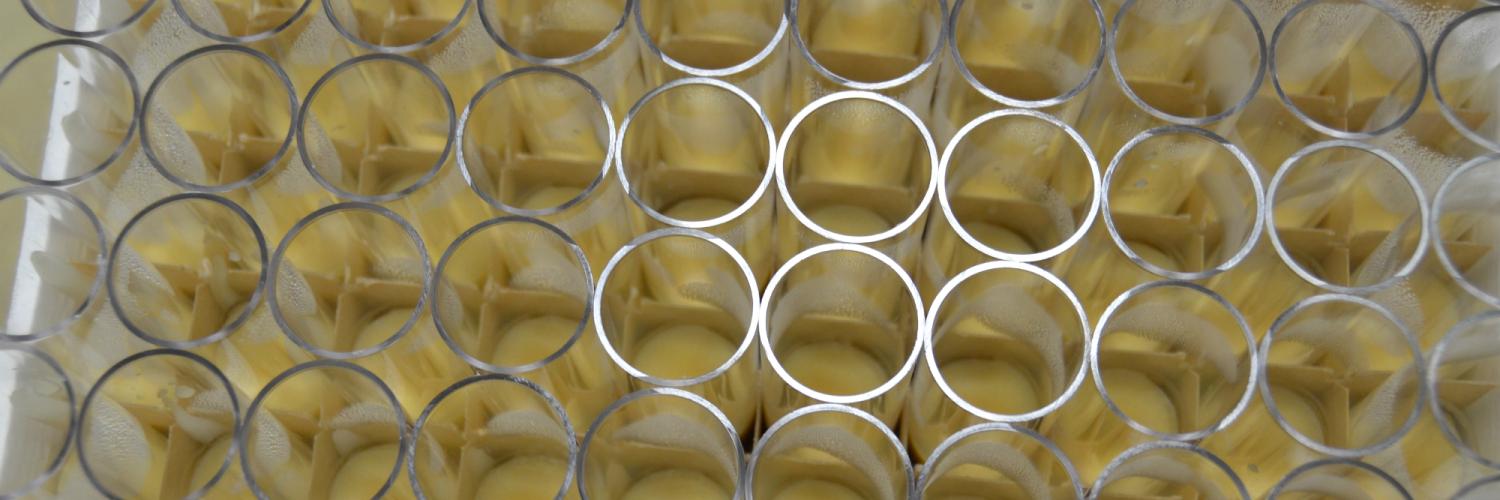 Tubes of fly food